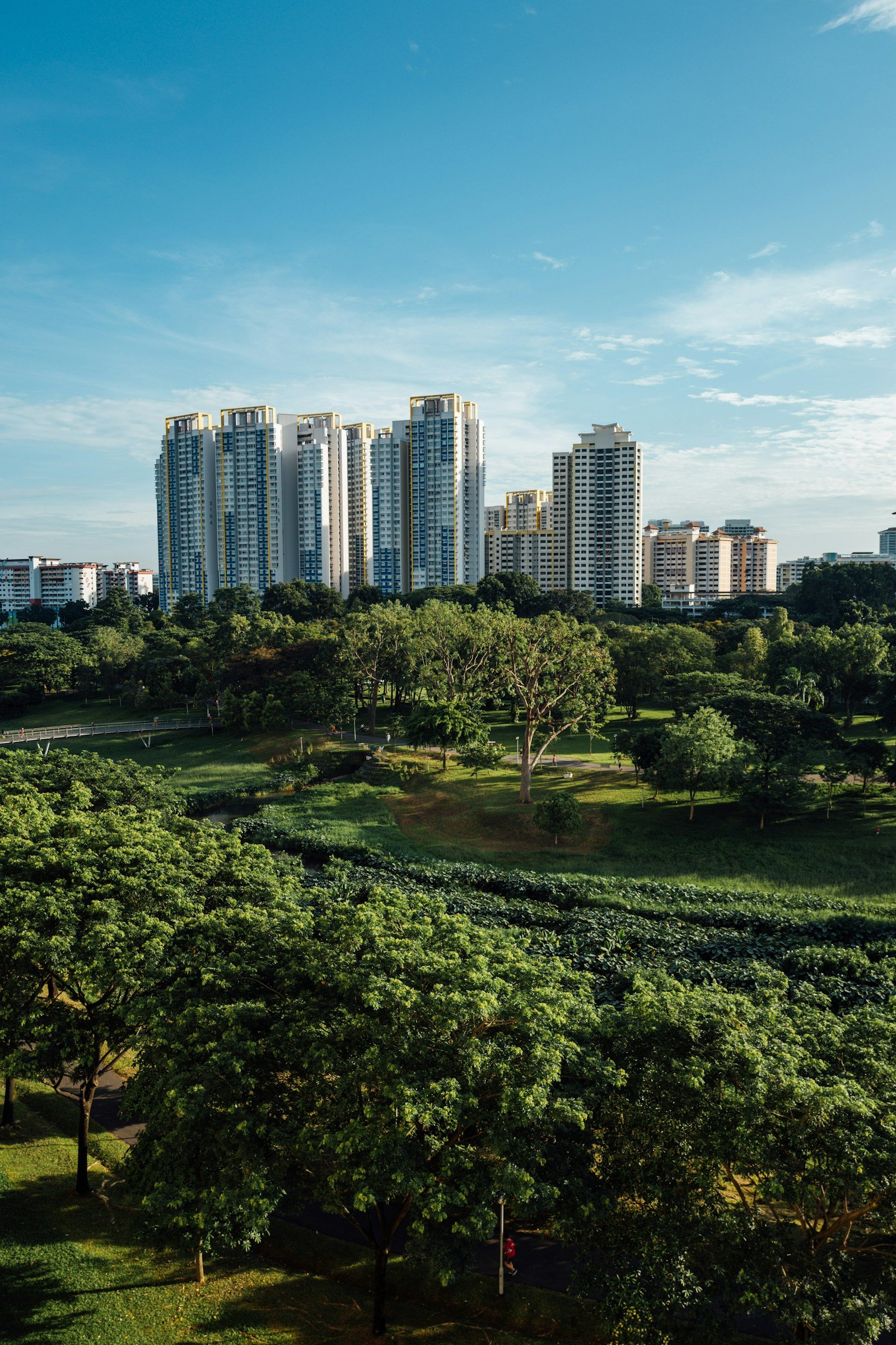 Residential towers surrounded by landscaped green space, shown as illustrative architecture